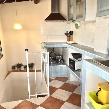 Latorretta By Solturelba *